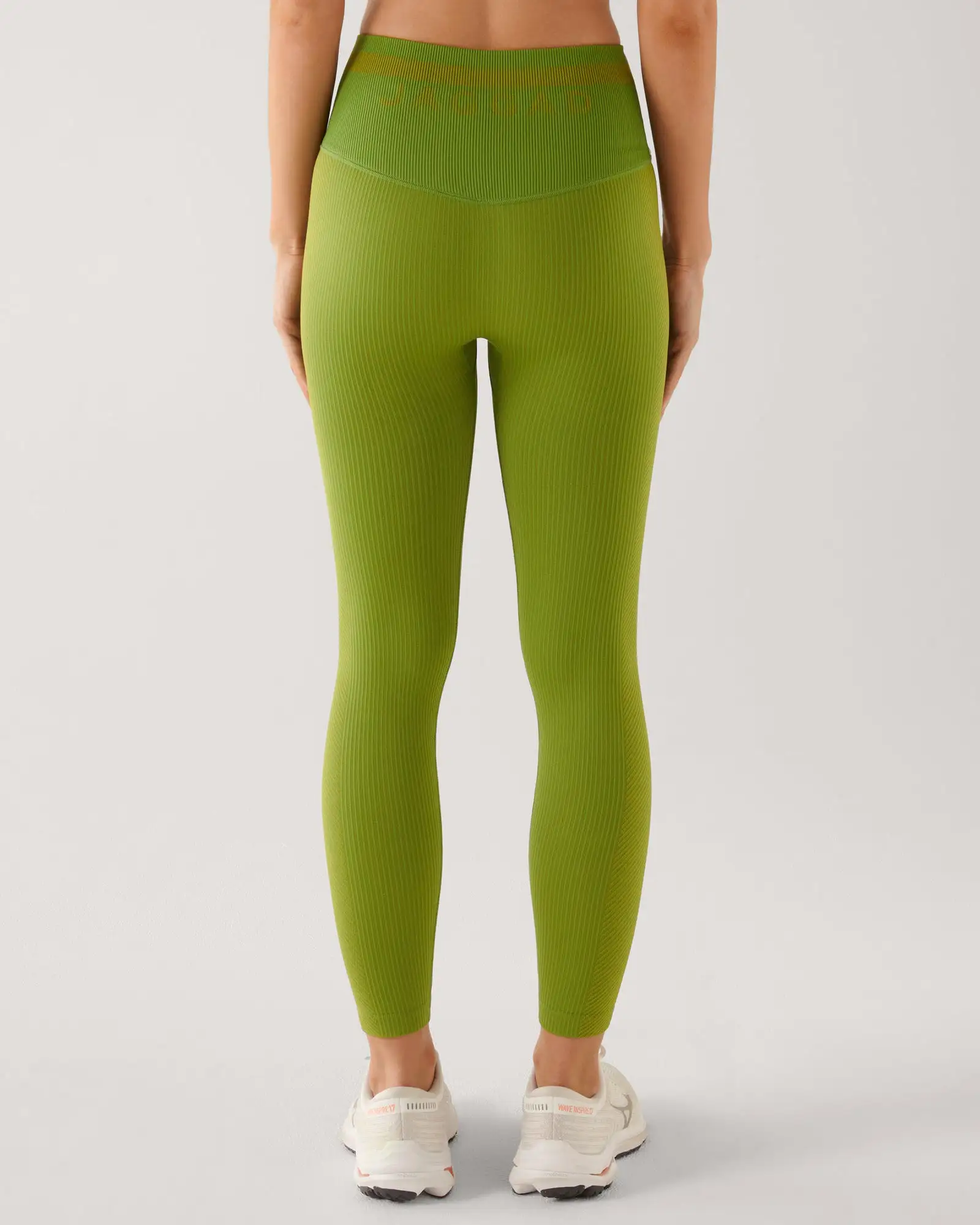 ELEVATION SEAMLESS FULL LENGTH HIGH WAIST LEGGING GREEN