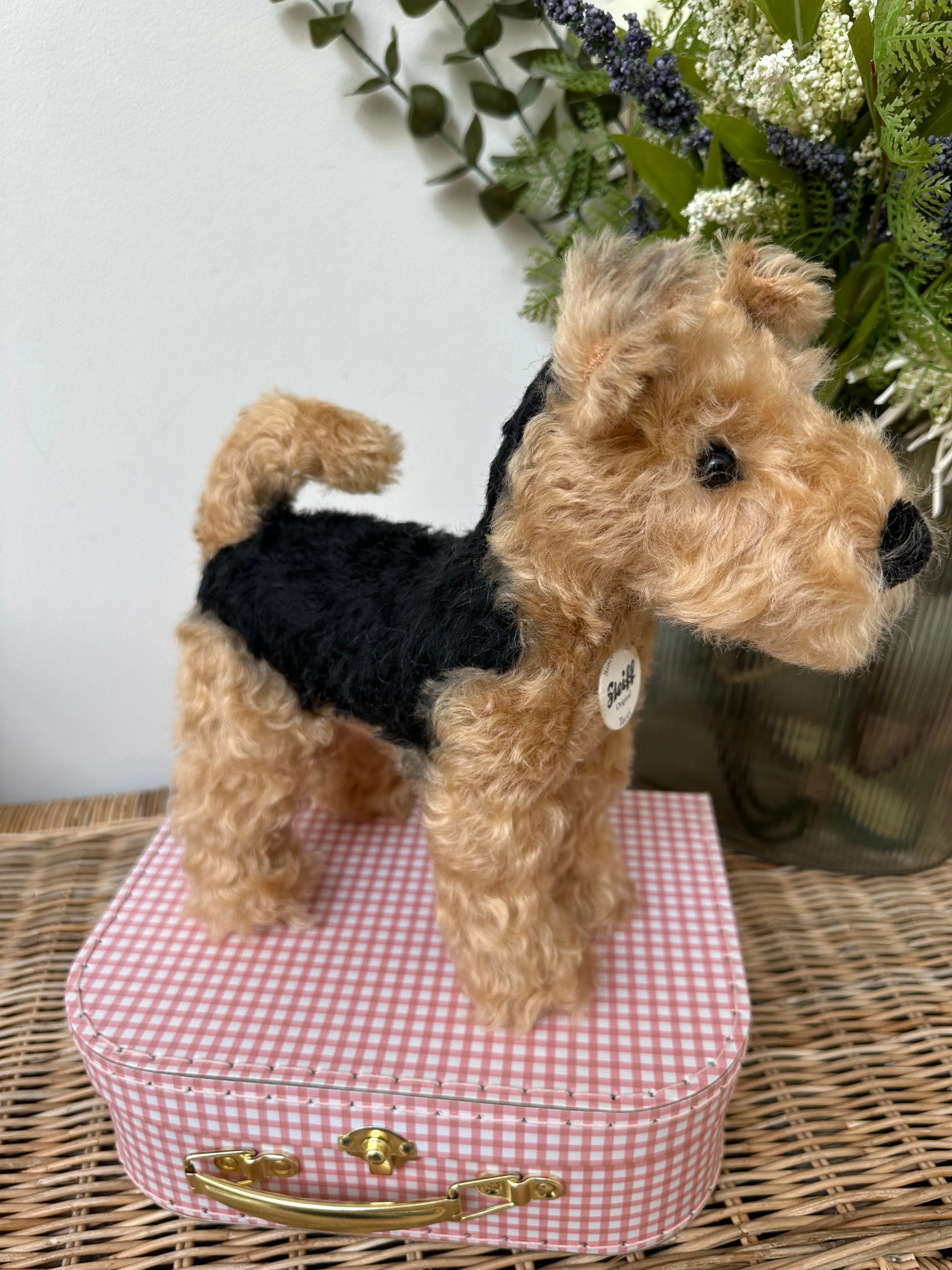 Terri Welsh Terrier Steiff  Mohair Collectable Puppy Dog