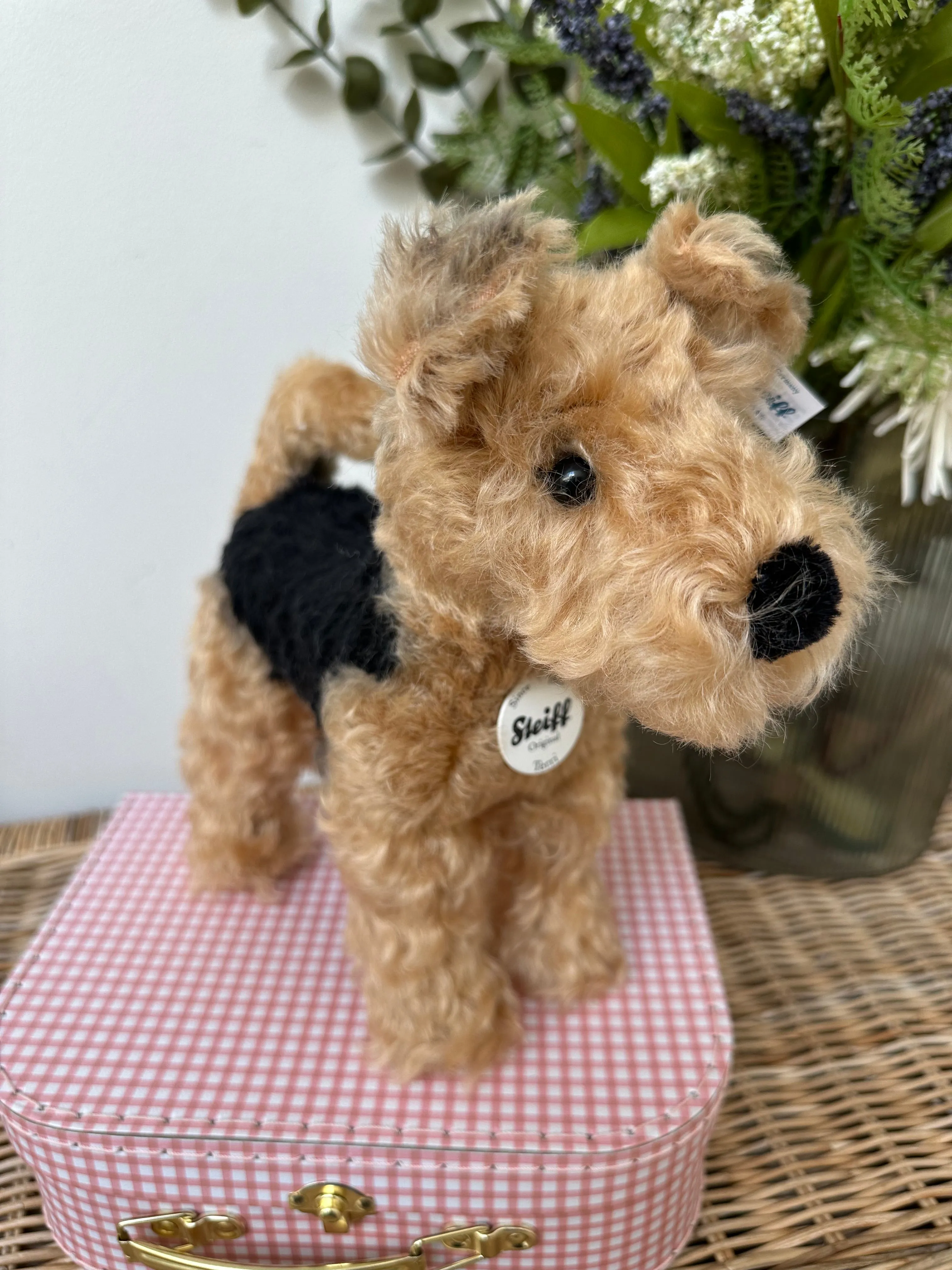 Terri Welsh Terrier Steiff  Mohair Collectable Puppy Dog