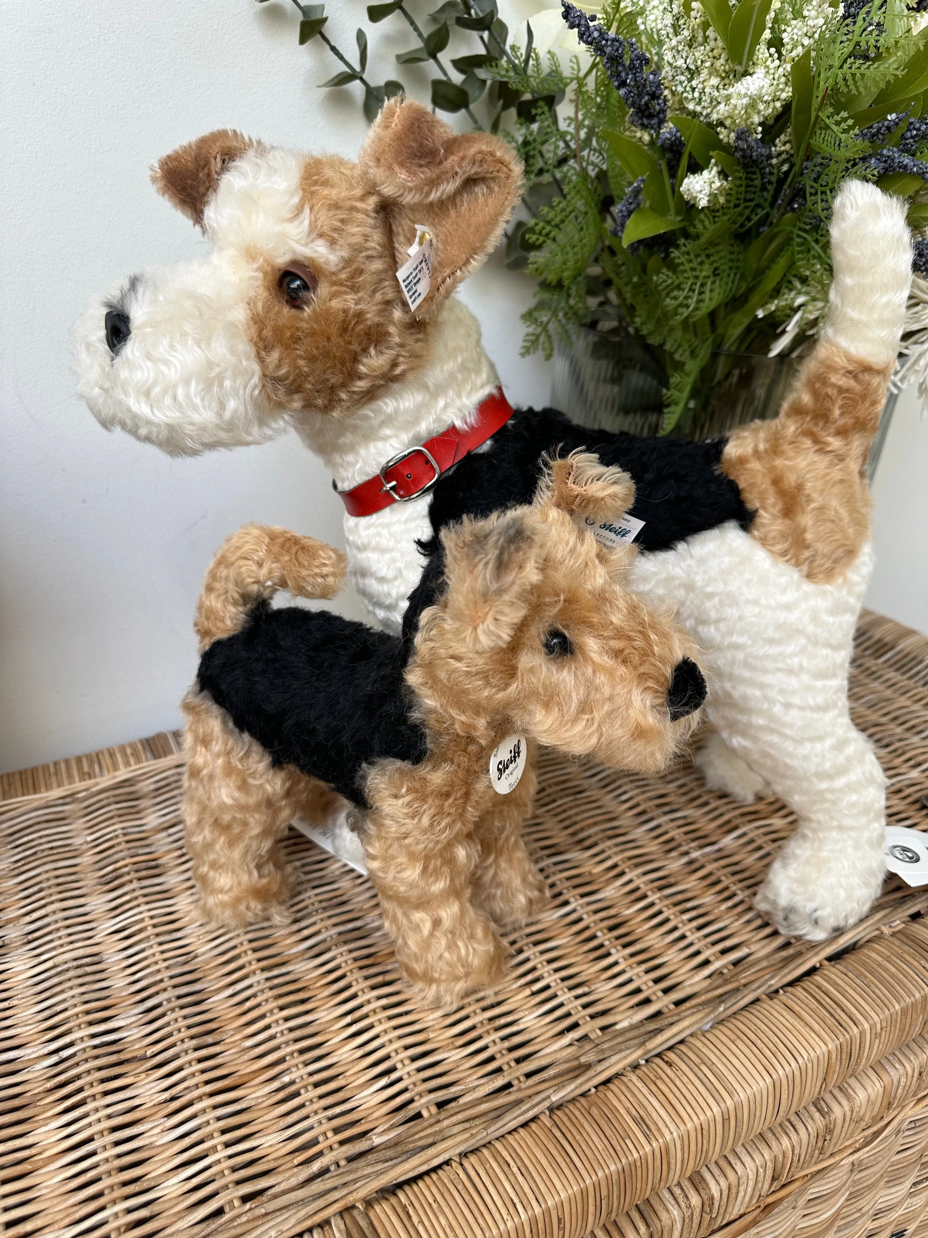 Terri Welsh Terrier Steiff  Mohair Collectable Puppy Dog