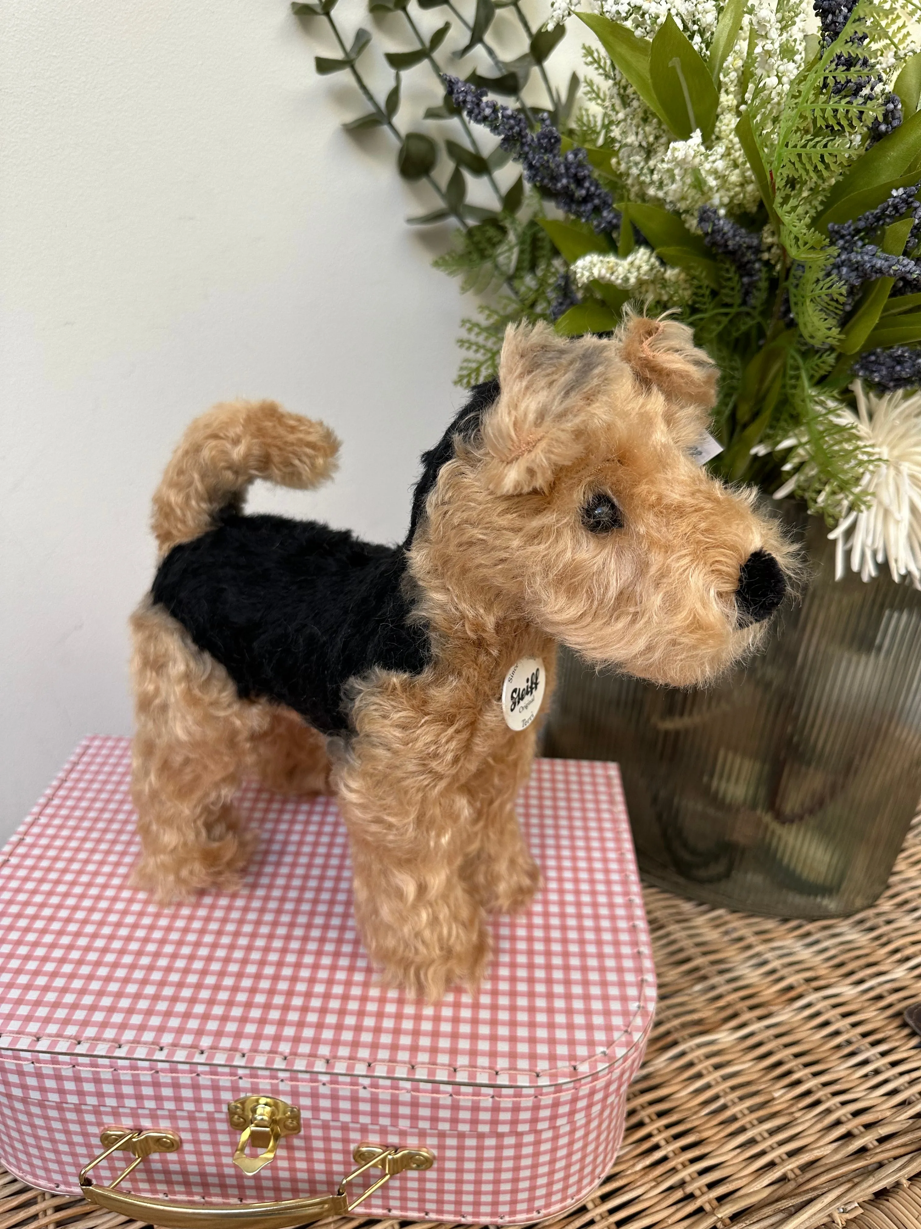 Terri Welsh Terrier Steiff  Mohair Collectable Puppy Dog