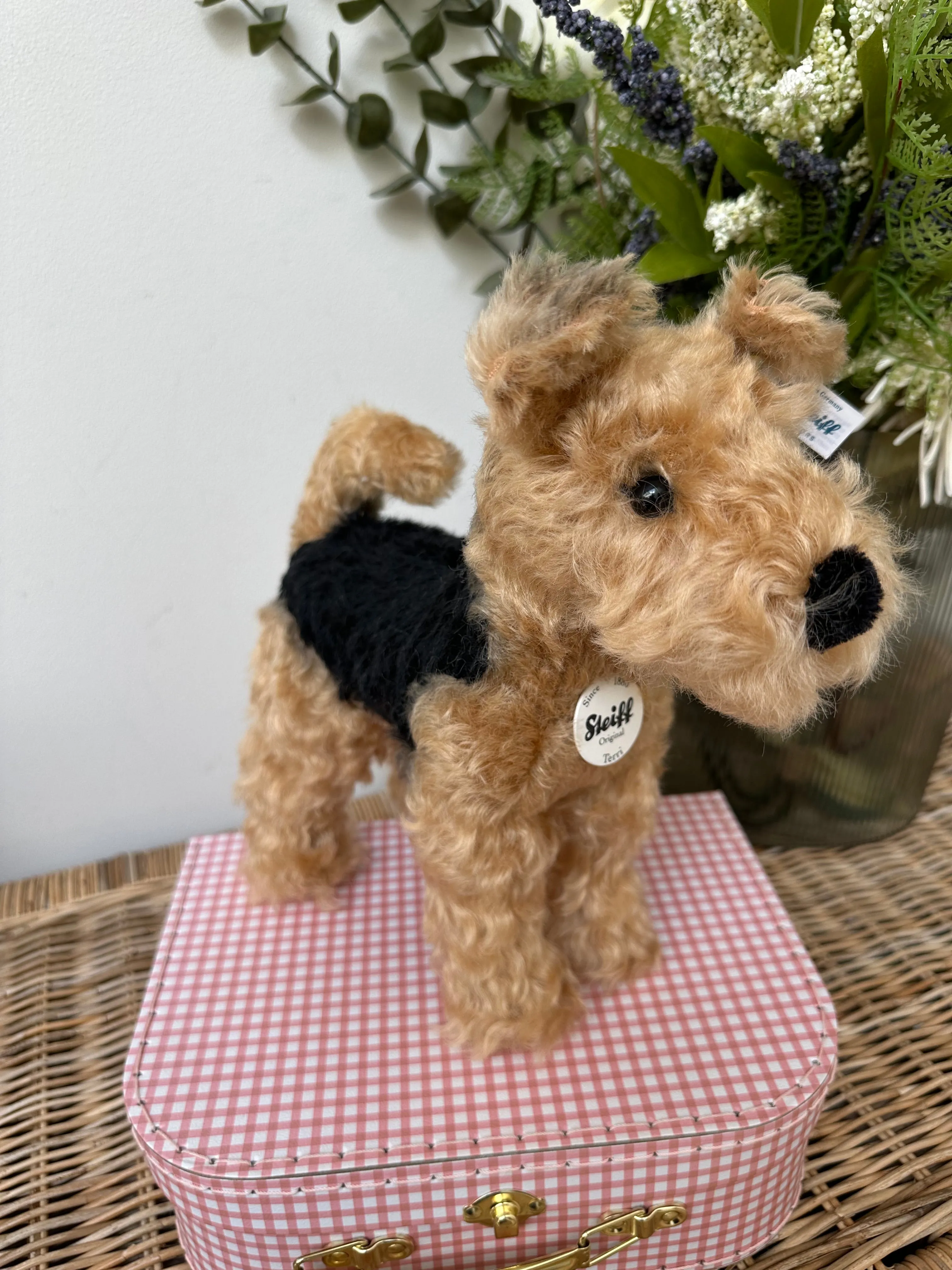 Terri Welsh Terrier Steiff  Mohair Collectable Puppy Dog