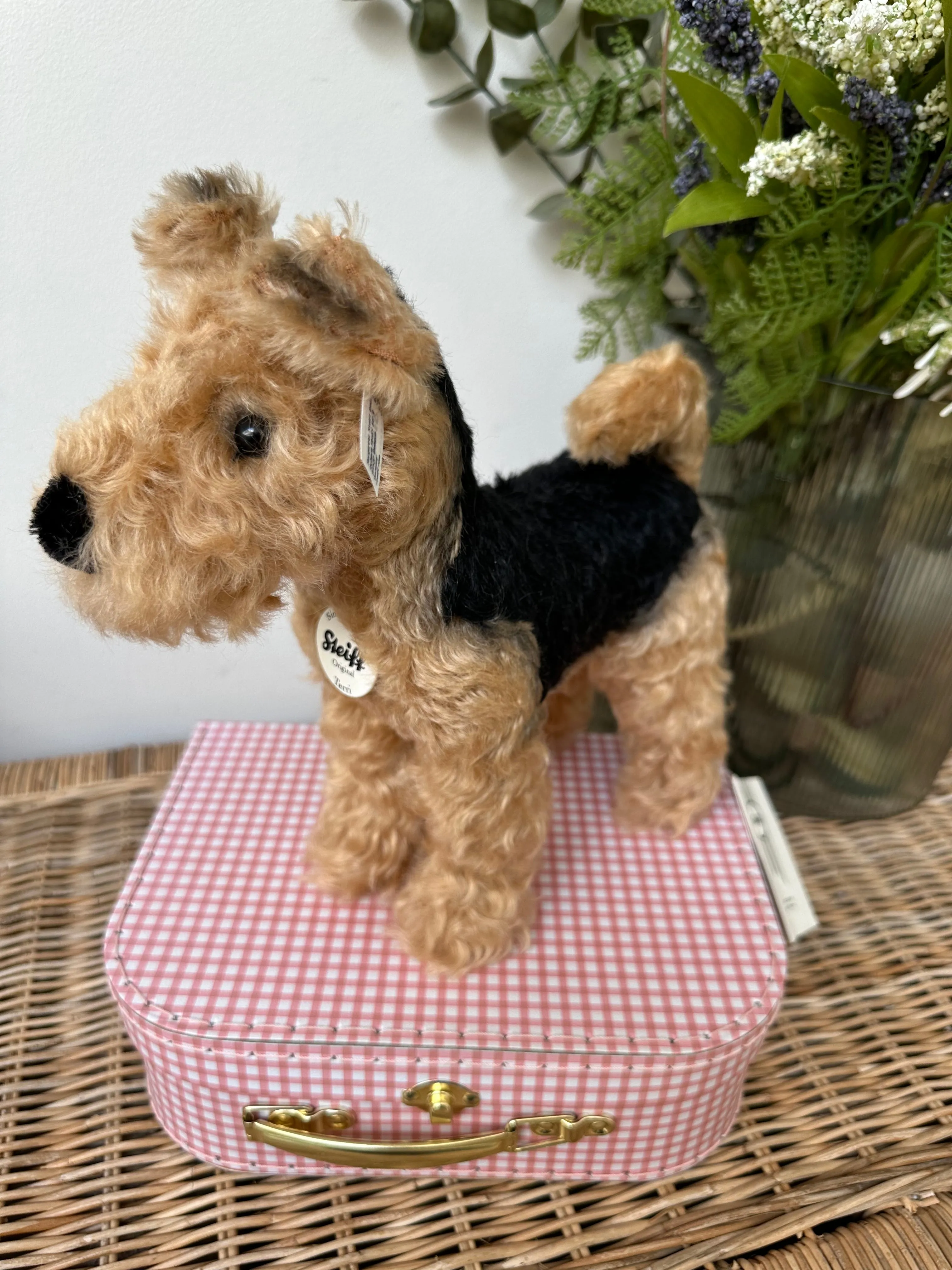 Terri Welsh Terrier Steiff  Mohair Collectable Puppy Dog