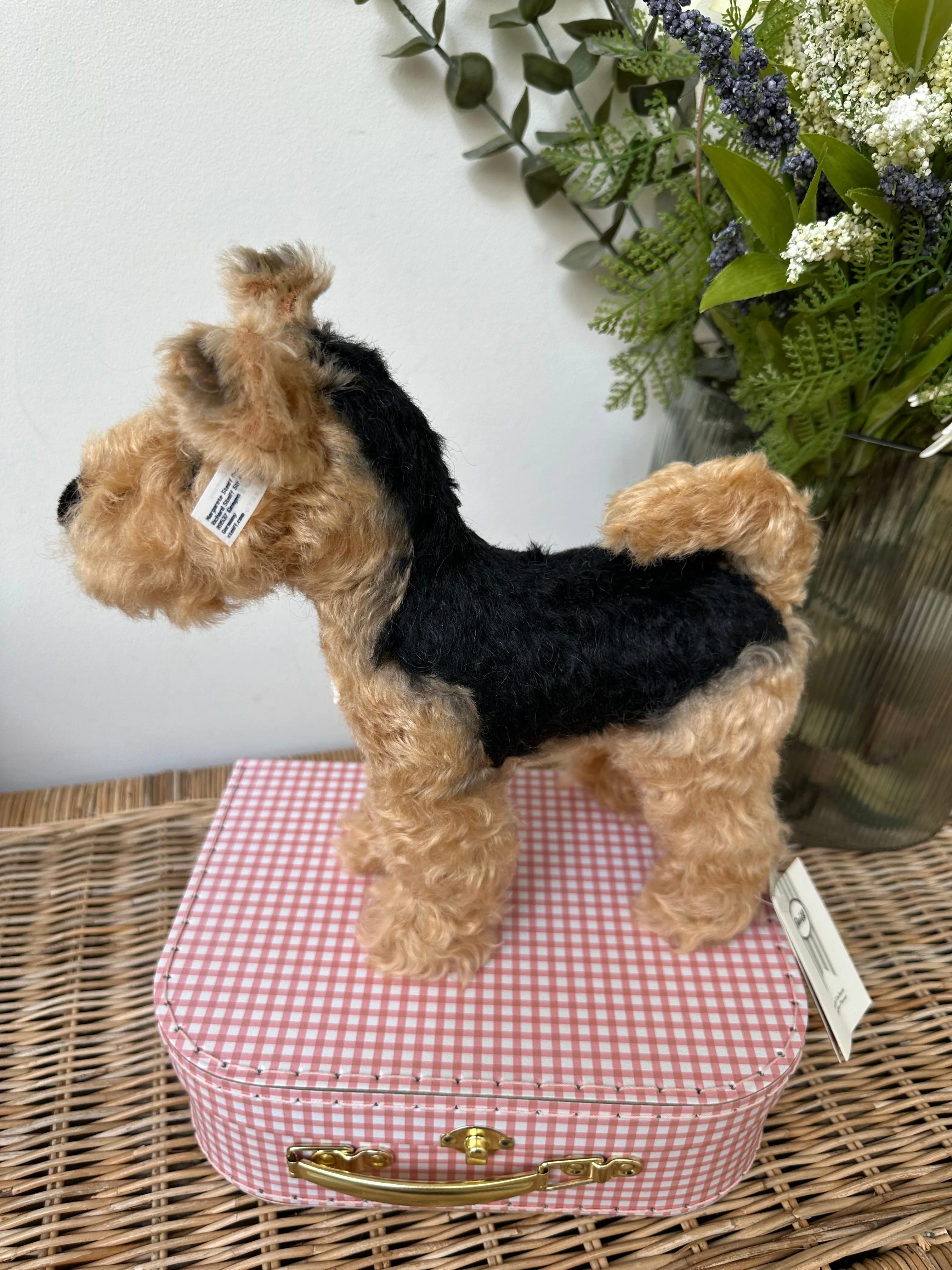 Terri Welsh Terrier Steiff  Mohair Collectable Puppy Dog