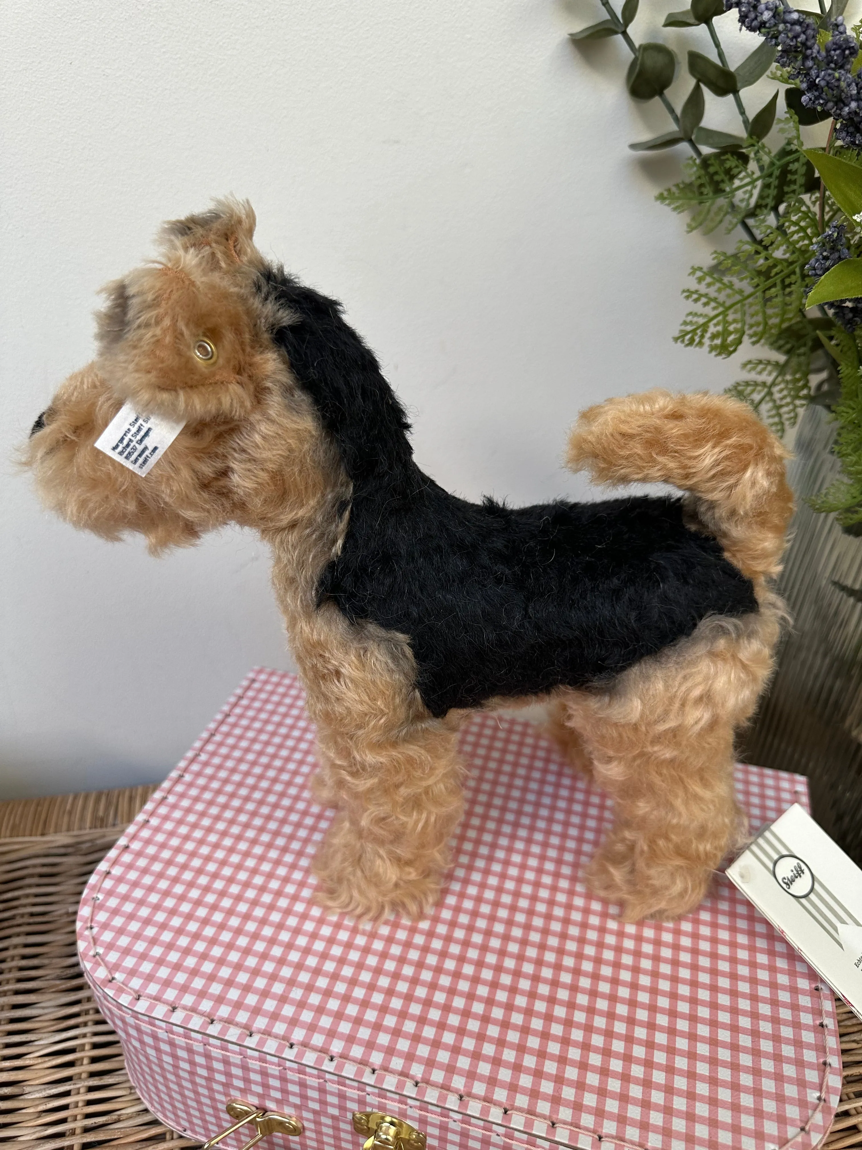 Terri Welsh Terrier Steiff  Mohair Collectable Puppy Dog