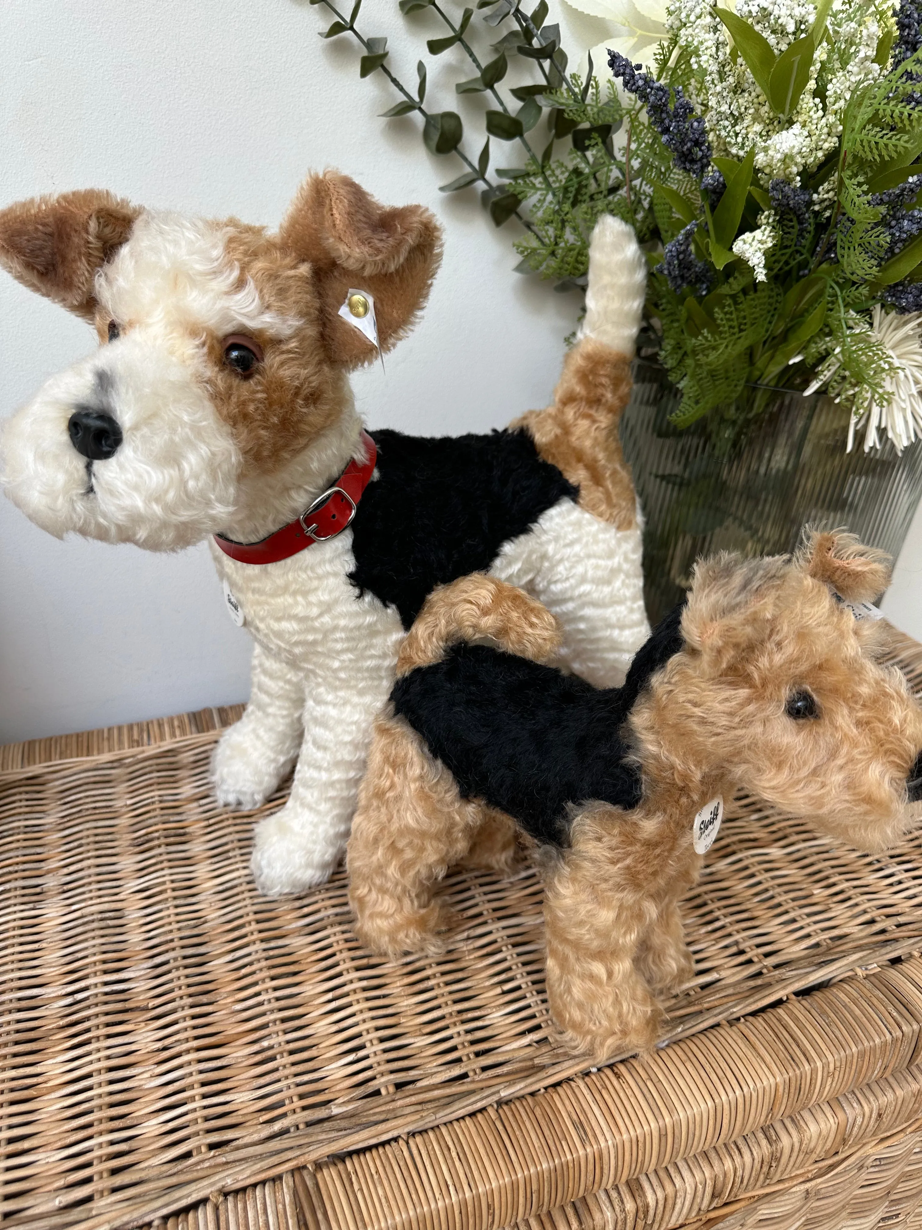 Terri Welsh Terrier Steiff  Mohair Collectable Puppy Dog